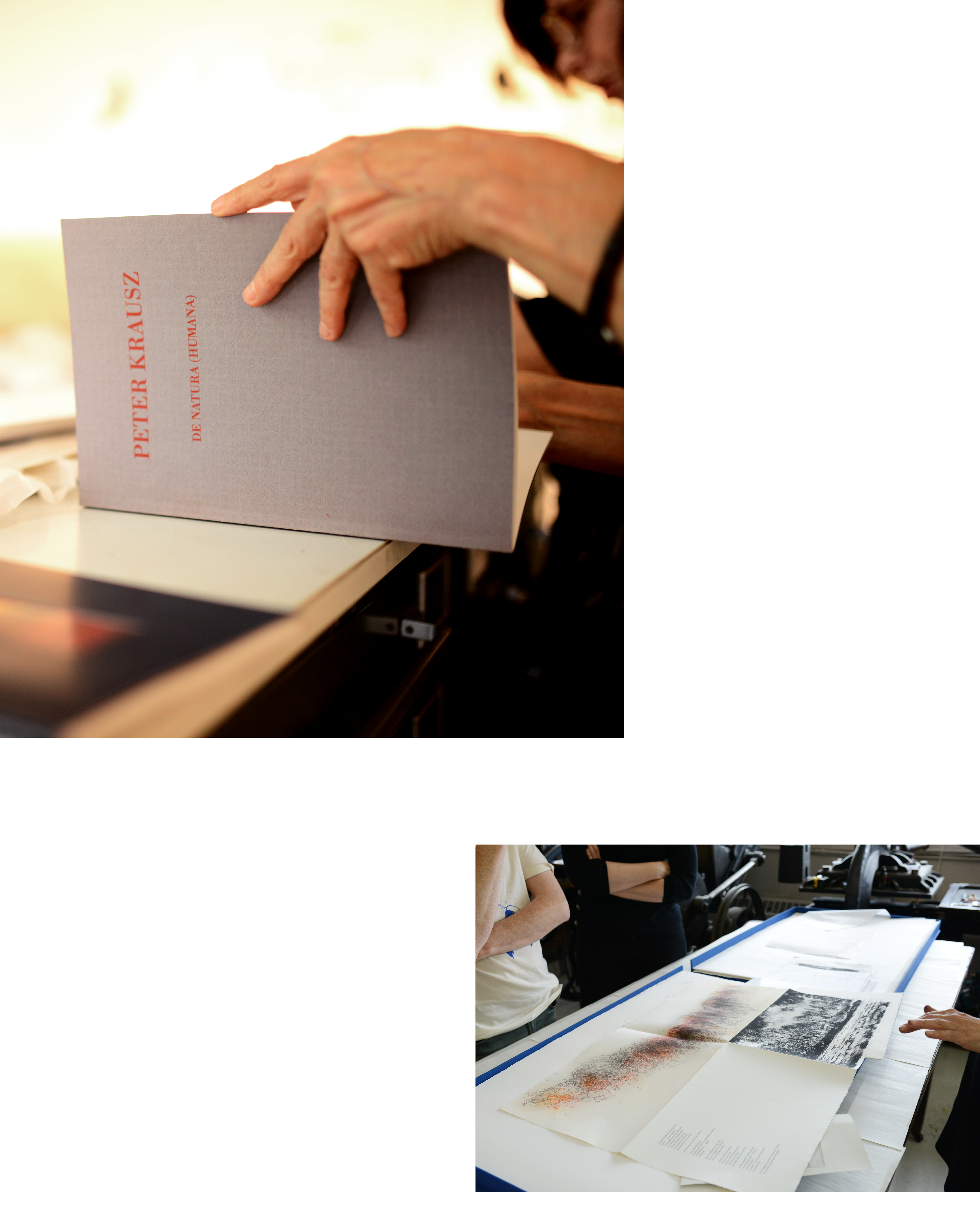 Photo credit Prune Paycha