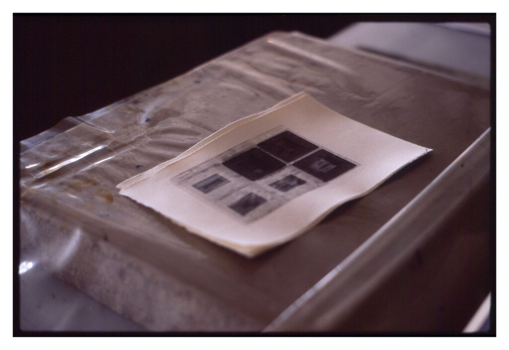 Photo credit: Prune Paycha