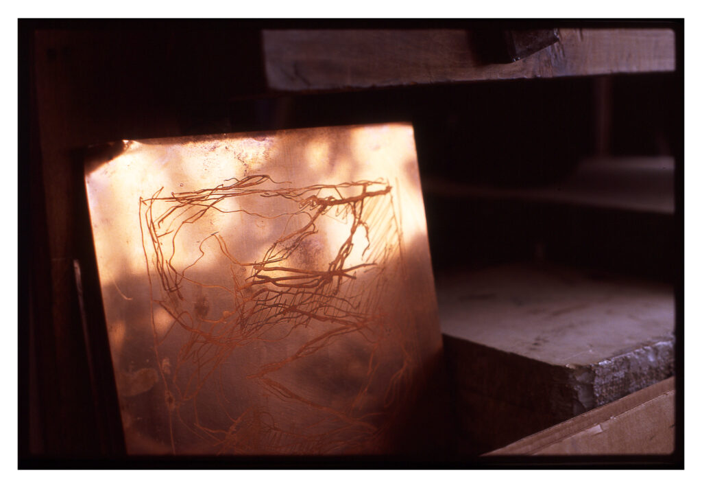 Photo credit: Prune Paycha