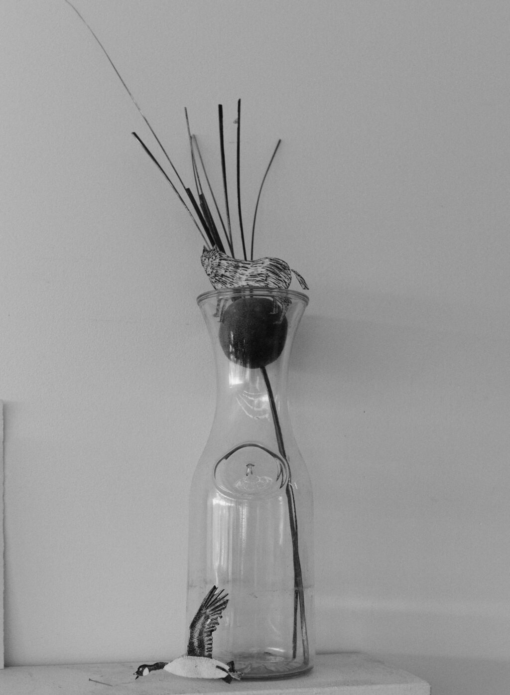 Photo credit Prune Paycha