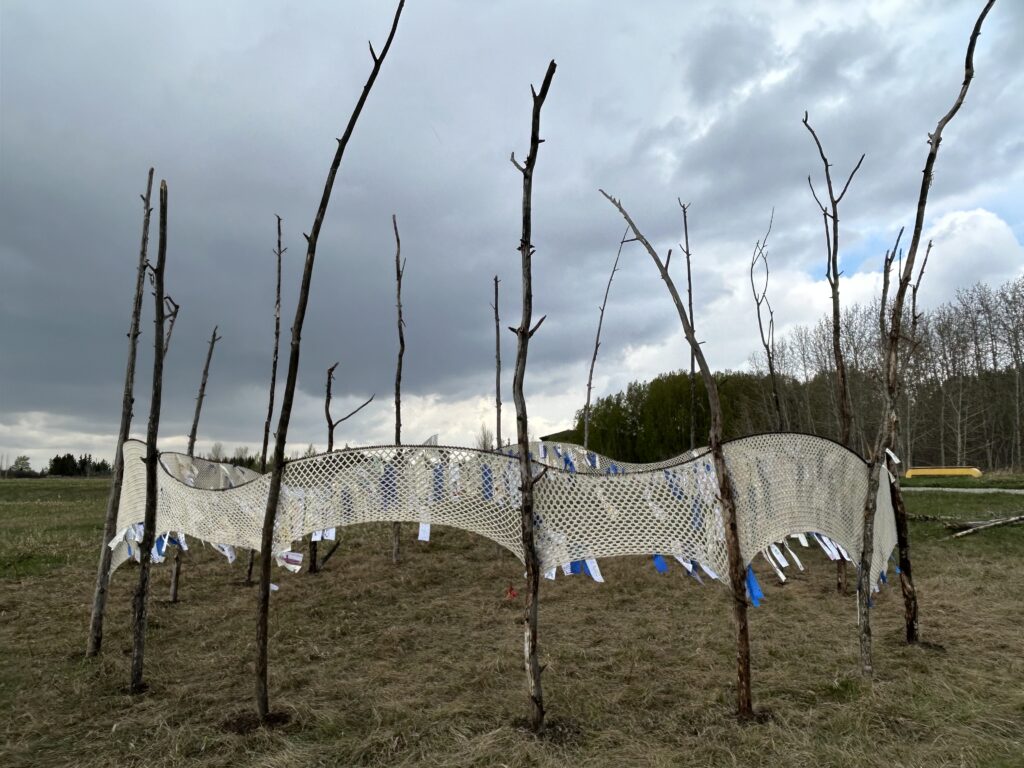 TOD finishes, photo credit Sabine Lecorre-Moore