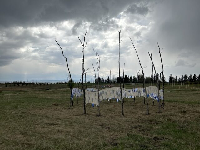 Installation complete, before the spring storm. Photo credit Sabine Lecorre-Moore