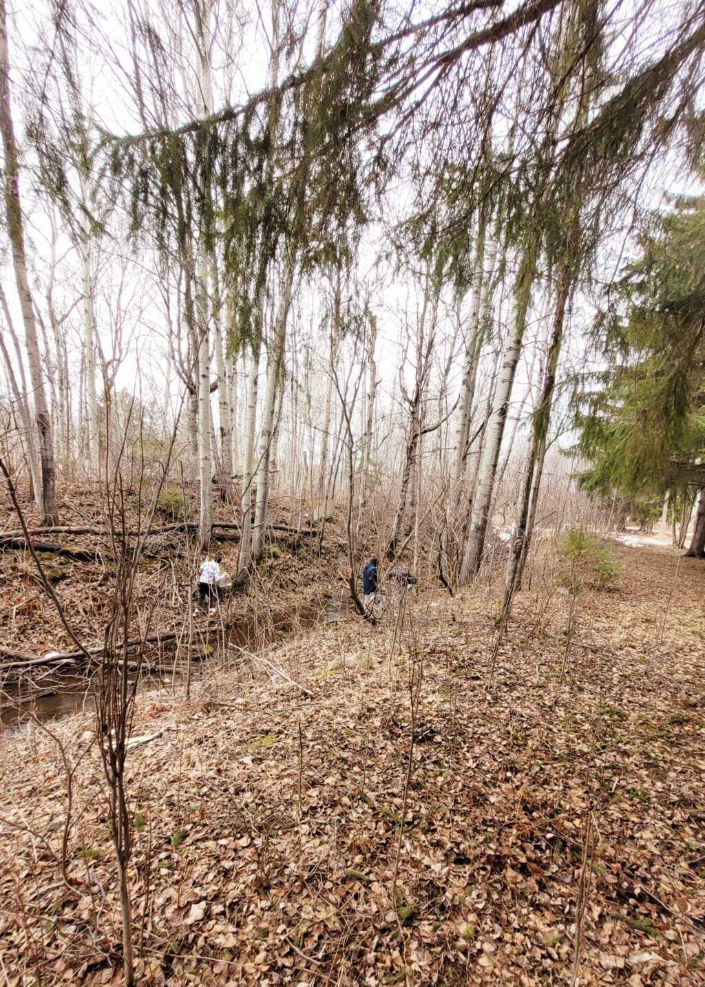 Collecte d'artéfacts et de sons