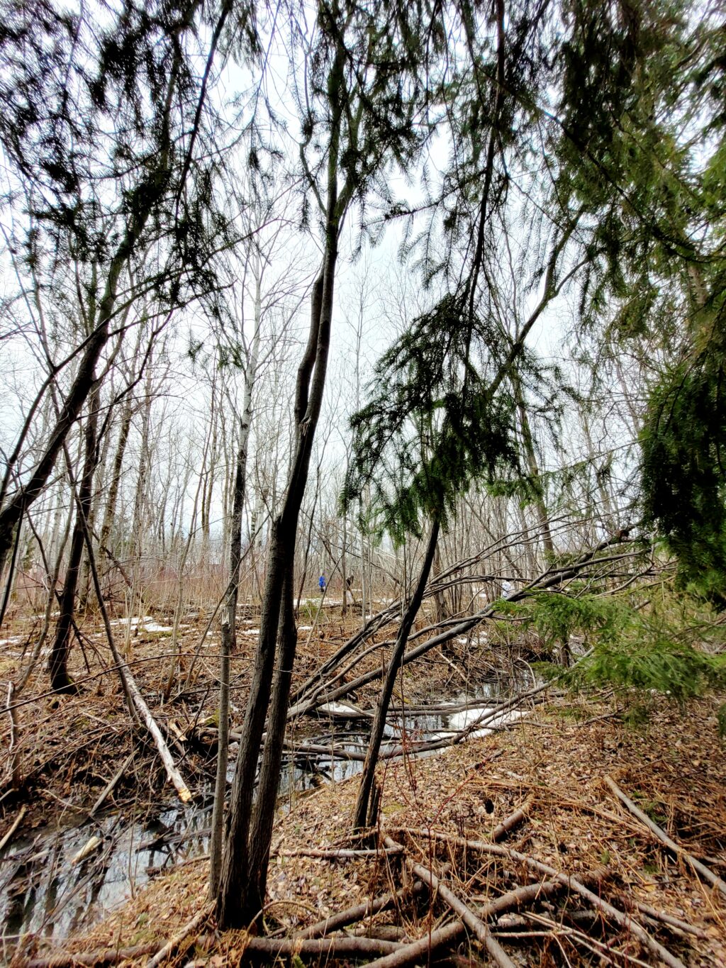 Collecte d'artéfacts et de sons