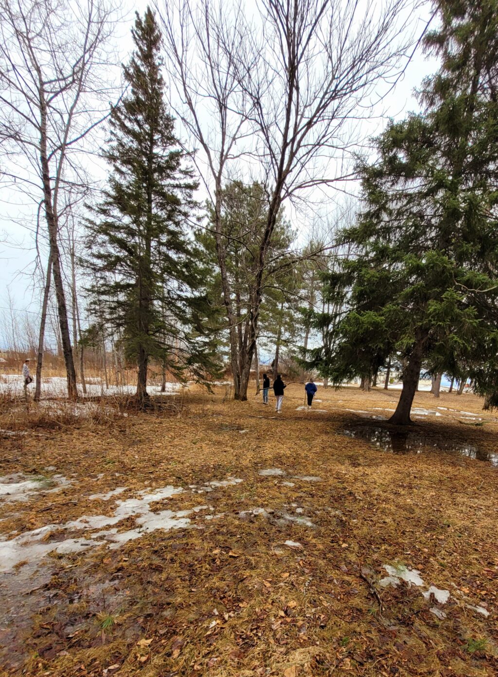 Collecte d'artéfacts et de sons