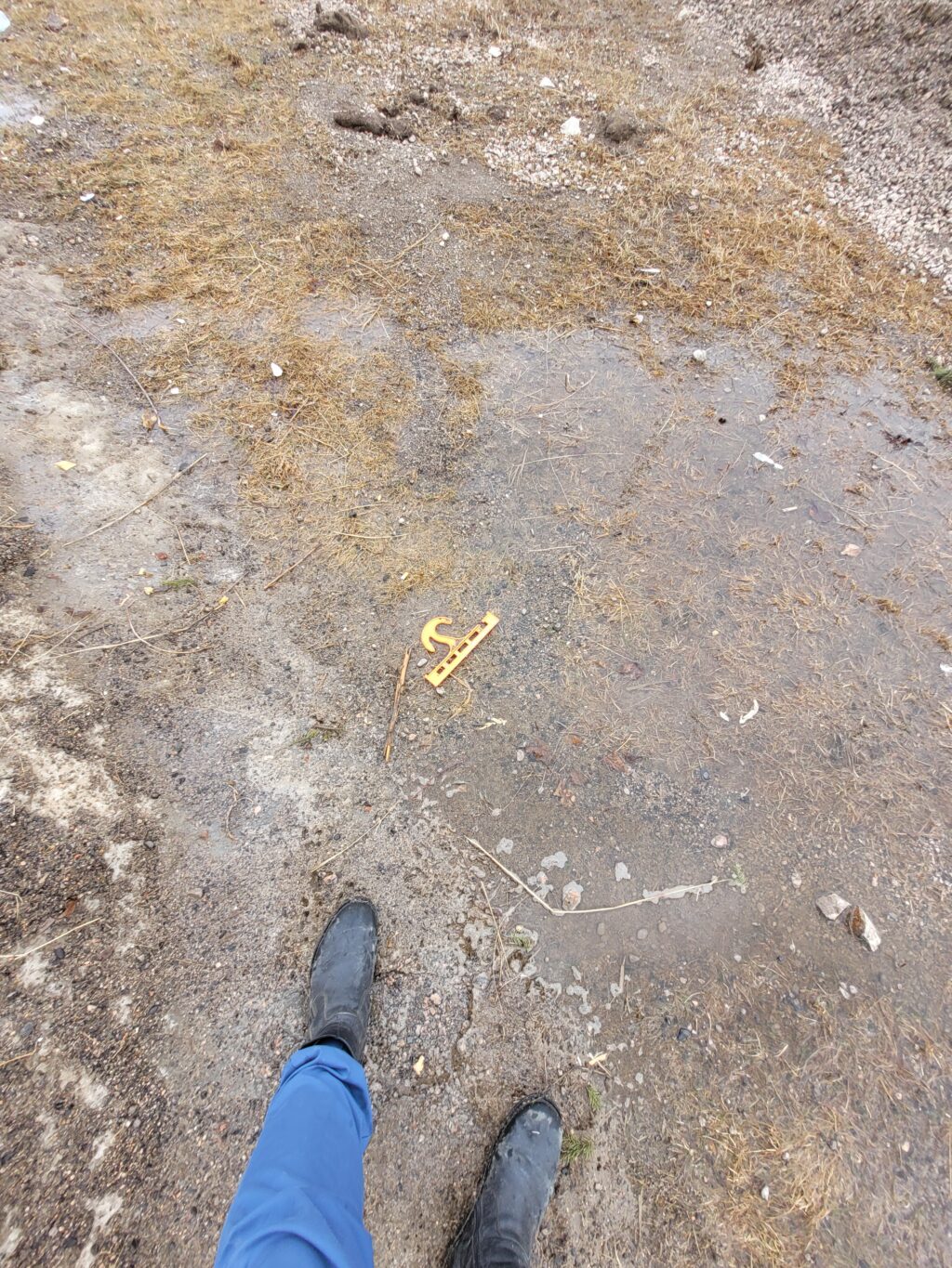 Collecte d'artéfacts et de sons