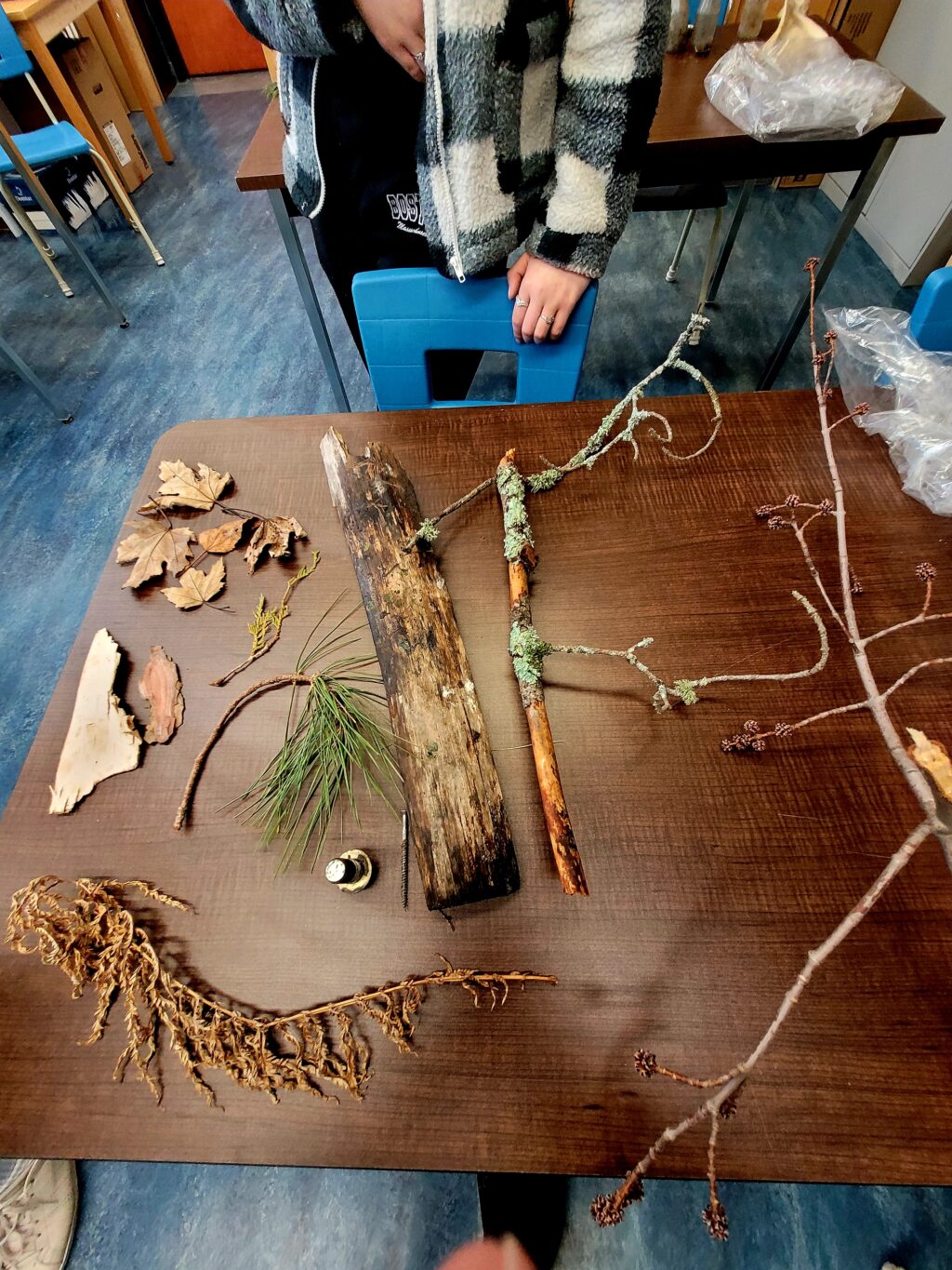 Collecte d'artéfacts et de sons