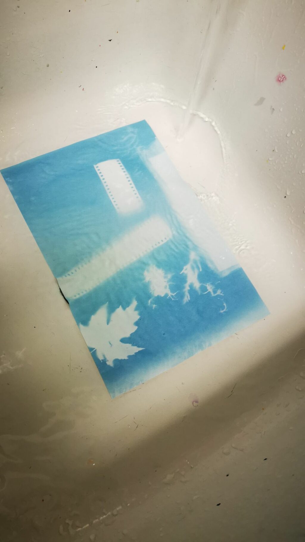 Résultat de cyanotype