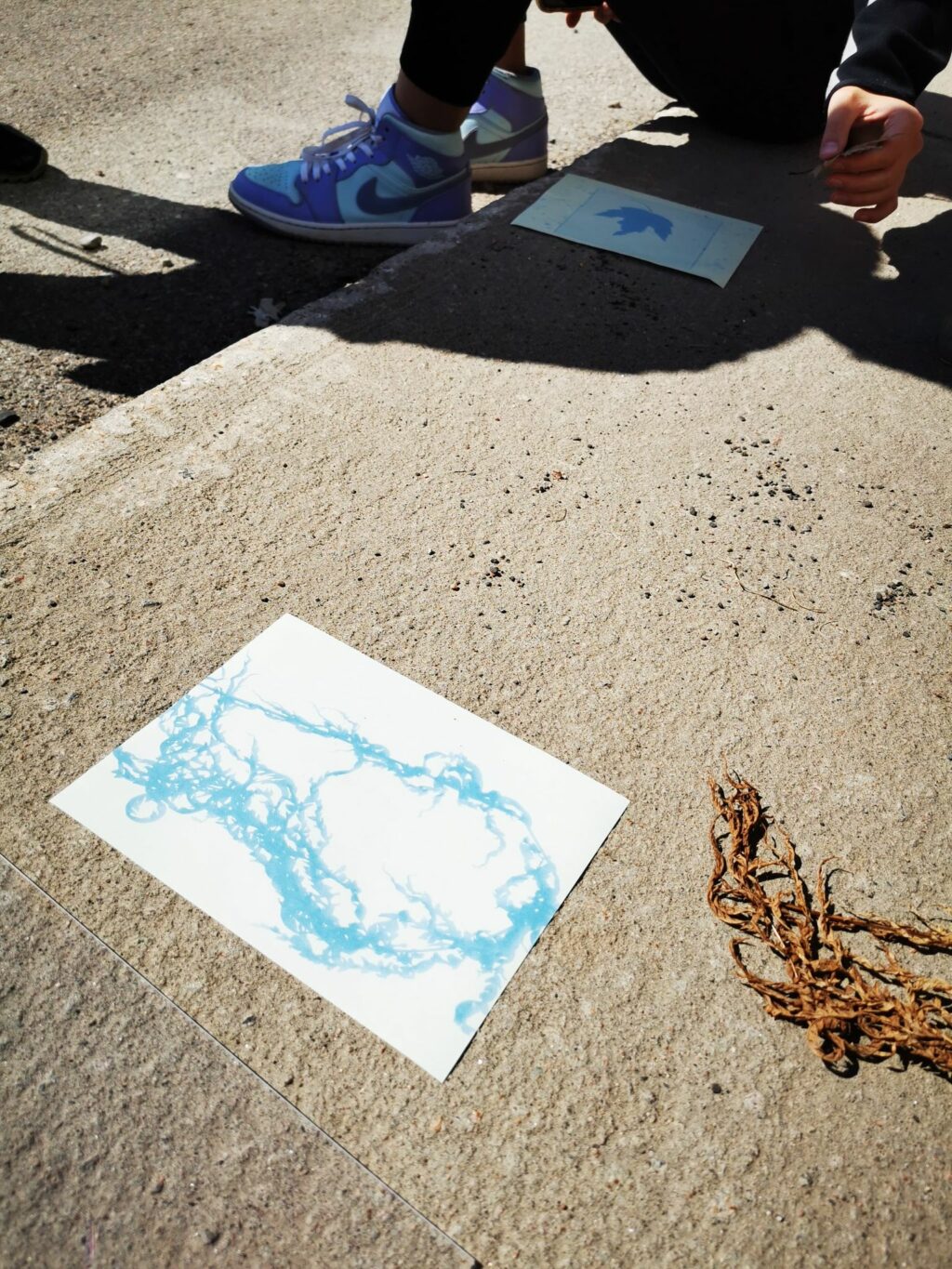 Résultat de cyanotype