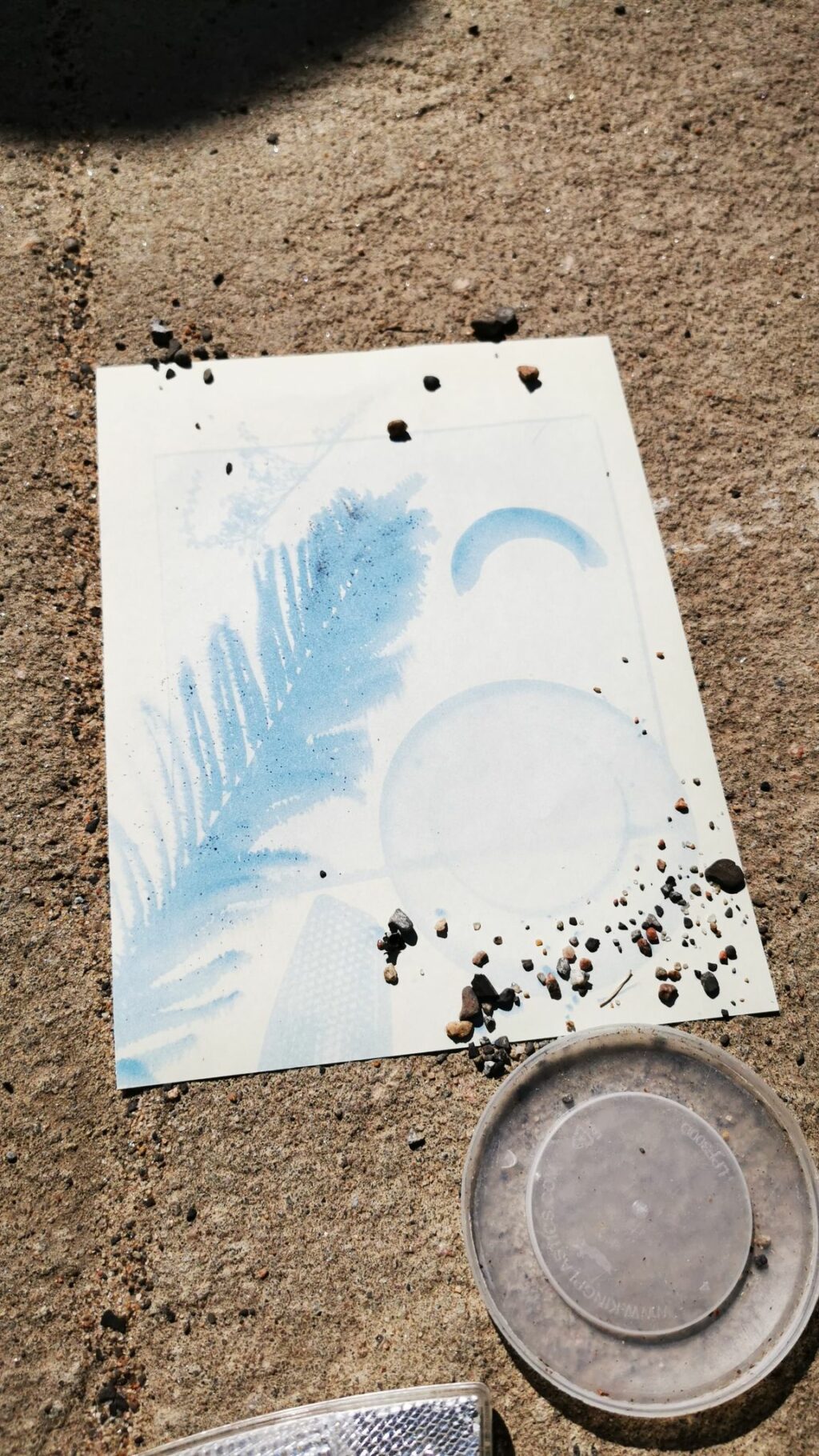 Résultat de cyanotype