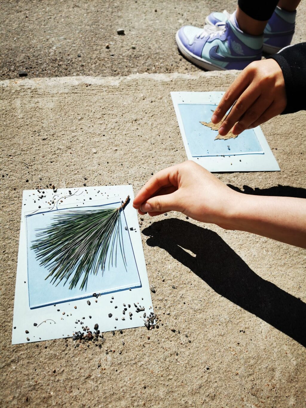 Début du procédé de cyanotype