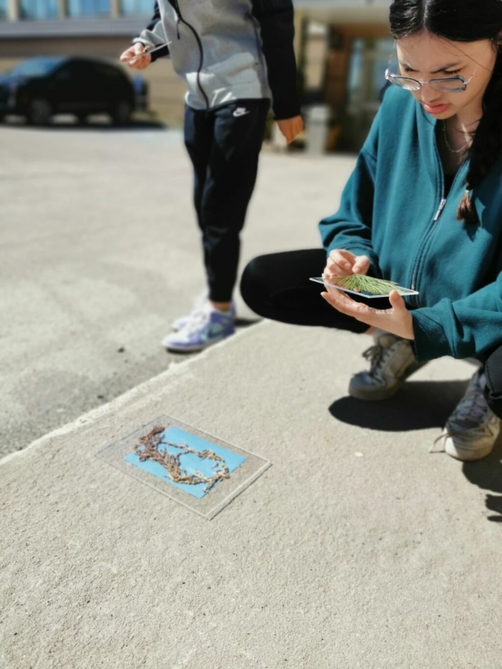 Waiting for sunlight to create the image. Get some fresh air