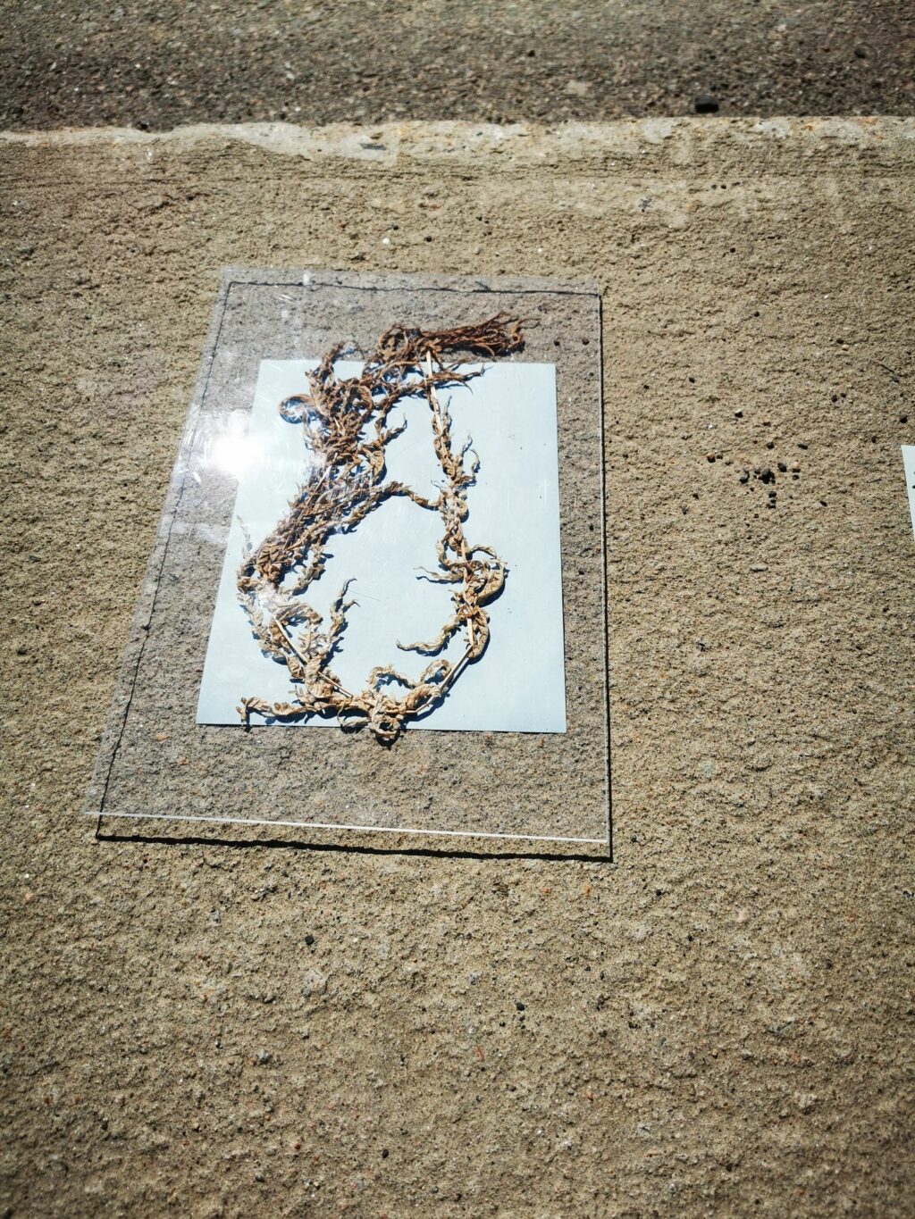 Attente de l'exposition au soleil pour créer l'image