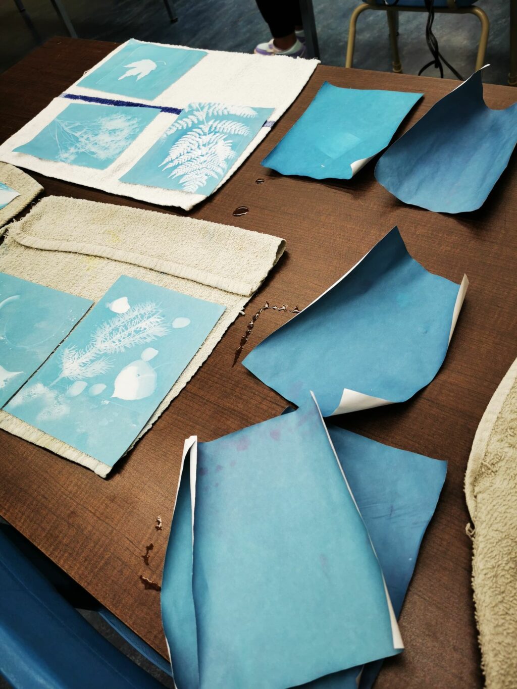 Résultat de cyanotype