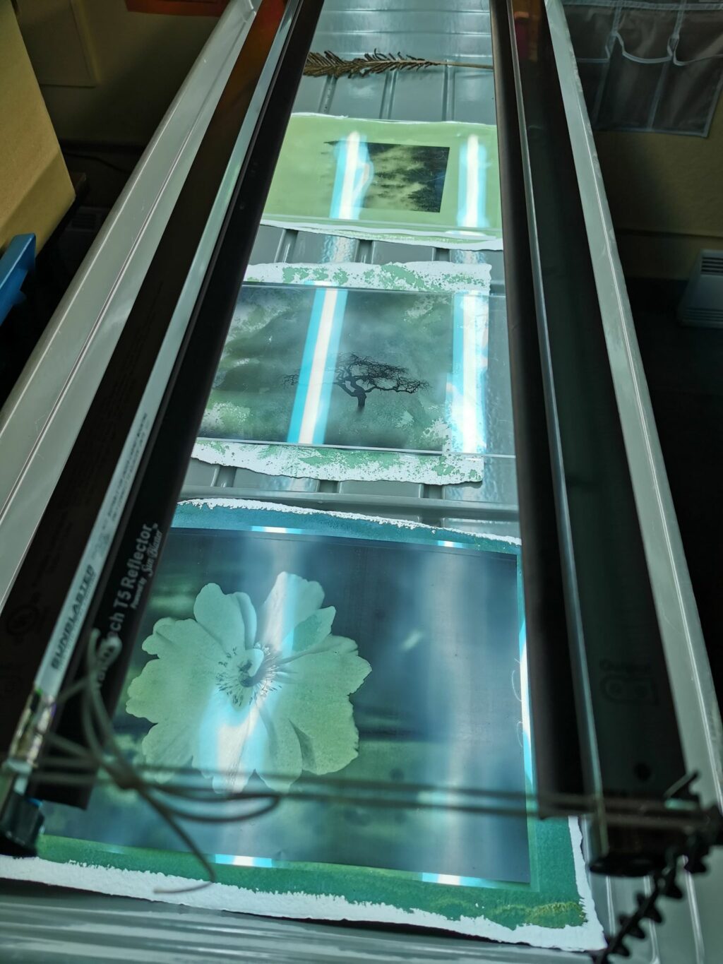 Exposition lumineuse avec appareil photosensible