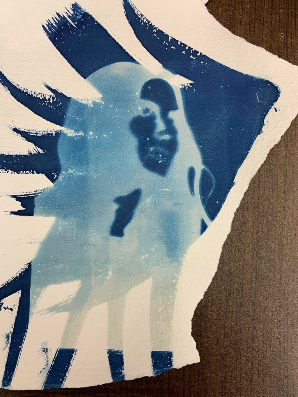 Résultat de cyanotype