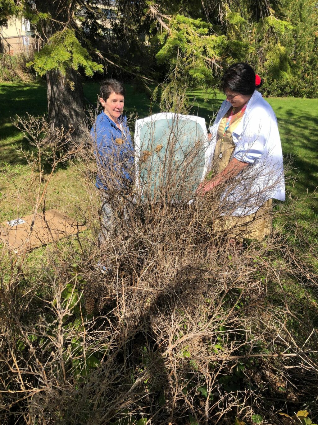 Attente de l'exposition au soleil pour créer l'image