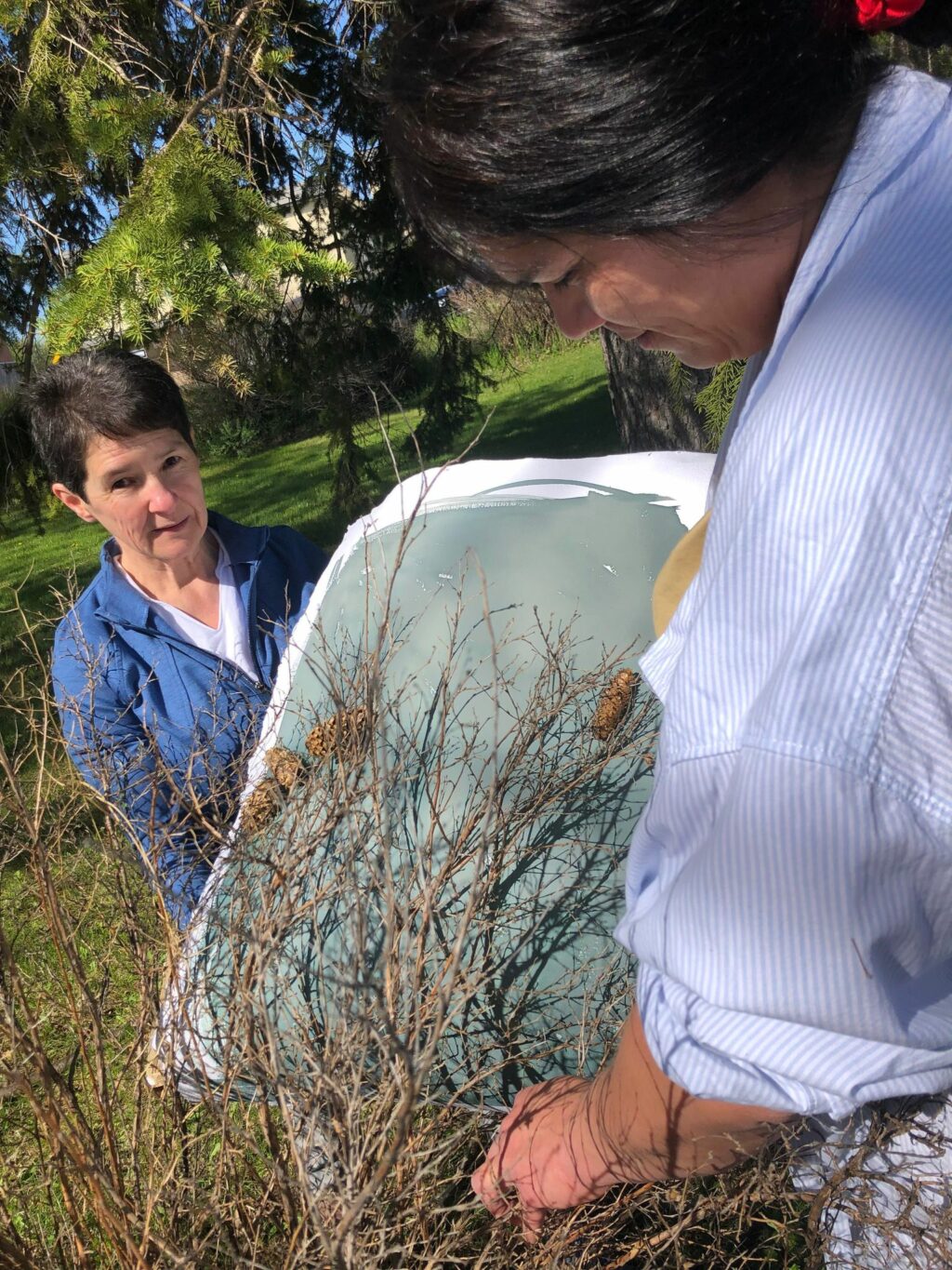 Attente de l'exposition au soleil pour créer l'image