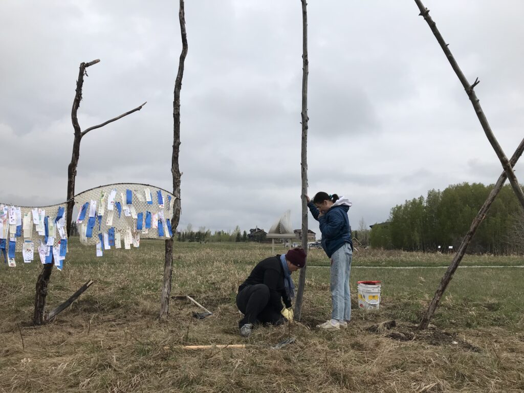 Plant one tree at a time, as the hooks are of different sizes, photo credit Patricia Lortie
