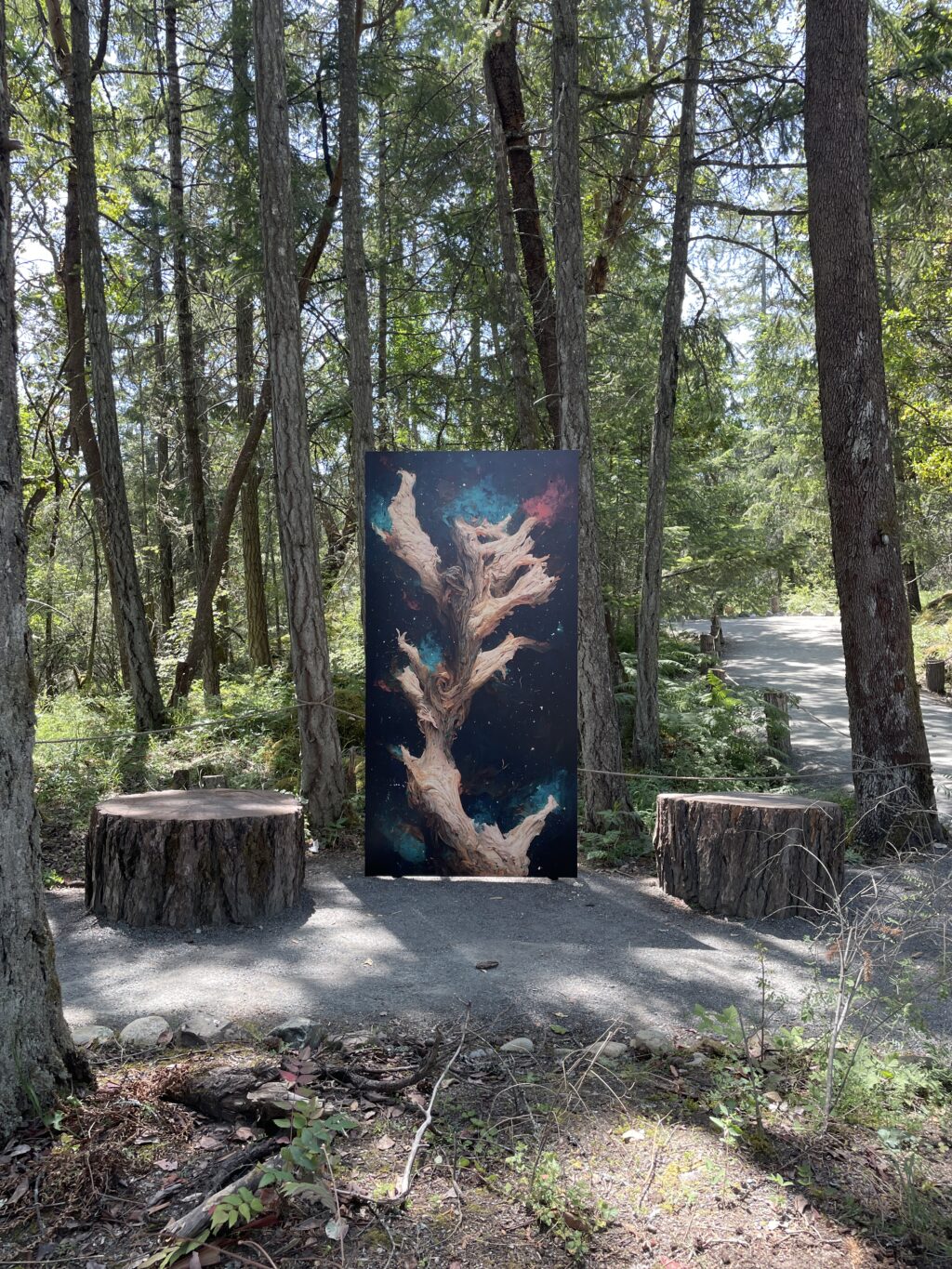 Photo credit: Adam Kammer