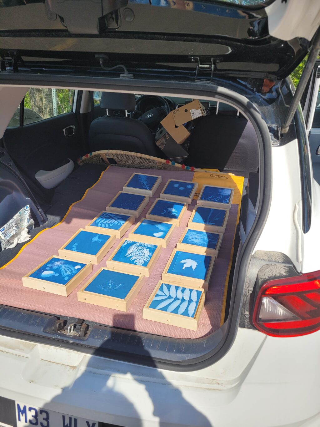 Photo credit: Amélie Courtois and Benoît Côté