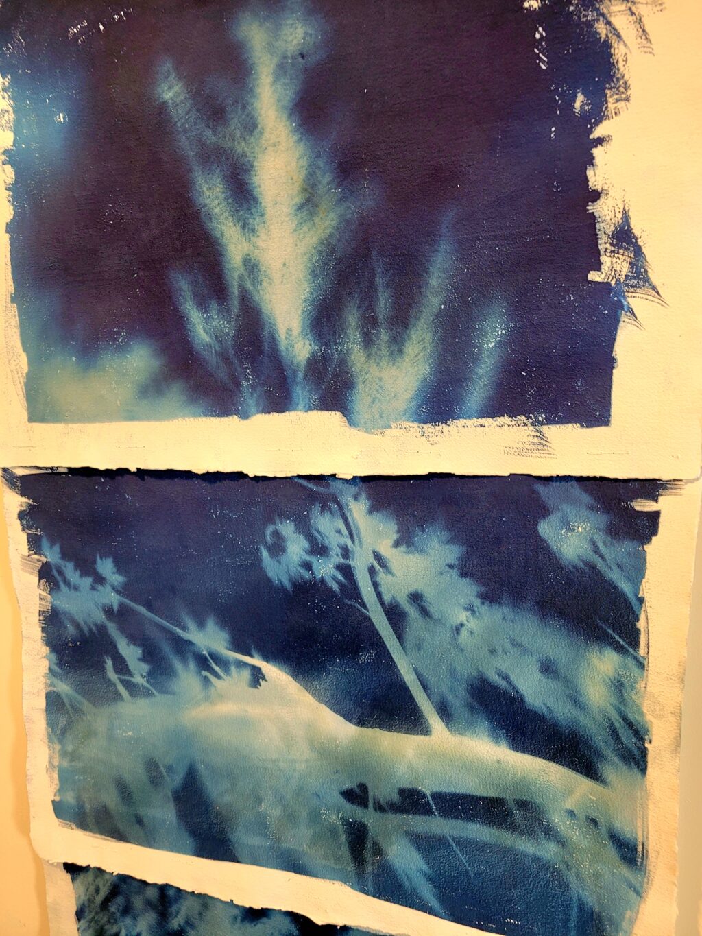 Photo credit: Amélie Courtois and Benoît Côté