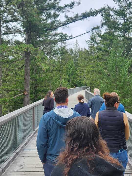 Crédit photo, Adam Kammer