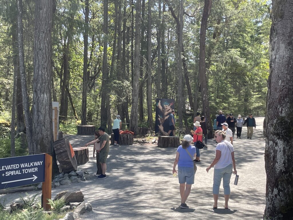 Crédit photo, Adam Kammer