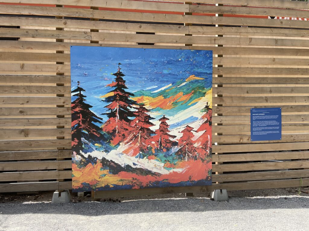 Crédit photo, Adam Kammer