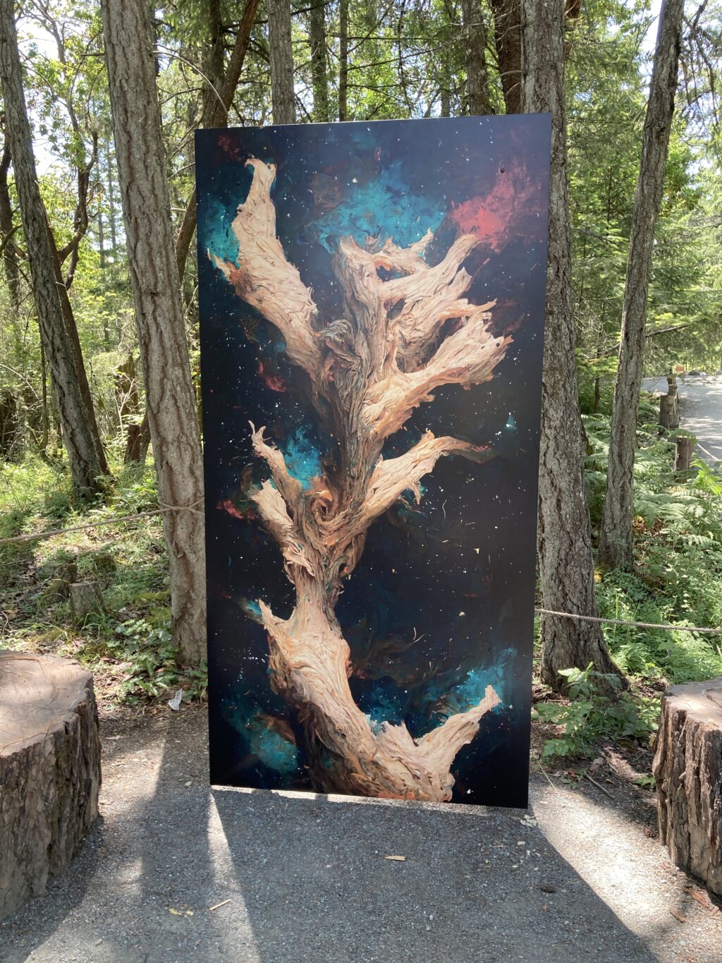 Crédit photo, Adam Kammer