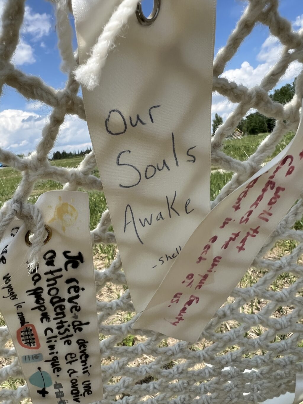 Photo credit Alan Fortune