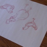 Caitlin Wilson workshop at Académie Ste-Famille on May 23