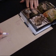 Caitlin Wilson workshop at Académie Ste-Famille on May 23