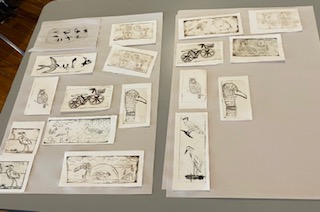 Caitlin Wilson workshop at Académie Ste-Famille on May 23