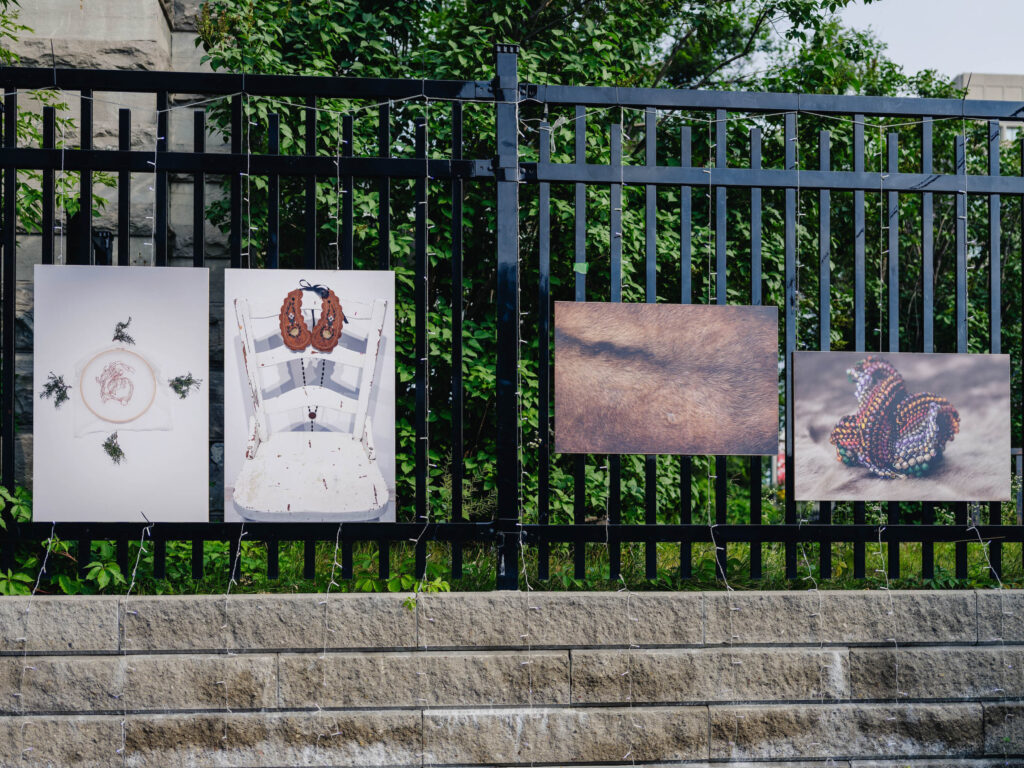 Crédit photo: Curtis Perry