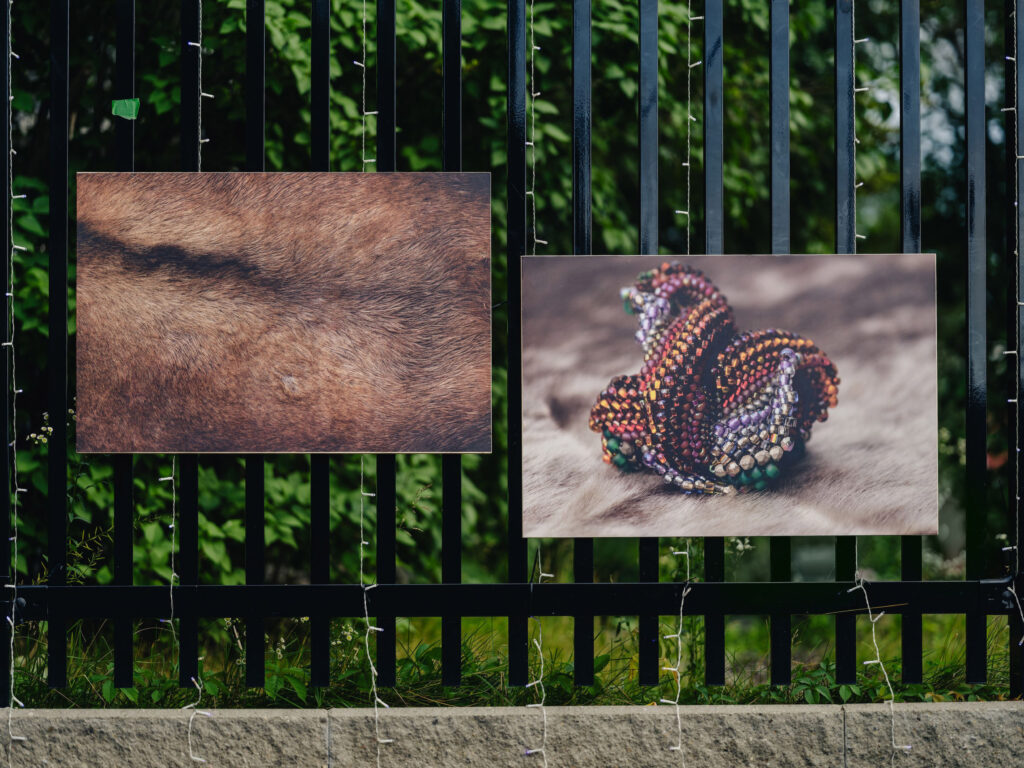 Crédit photo: Curtis Perry