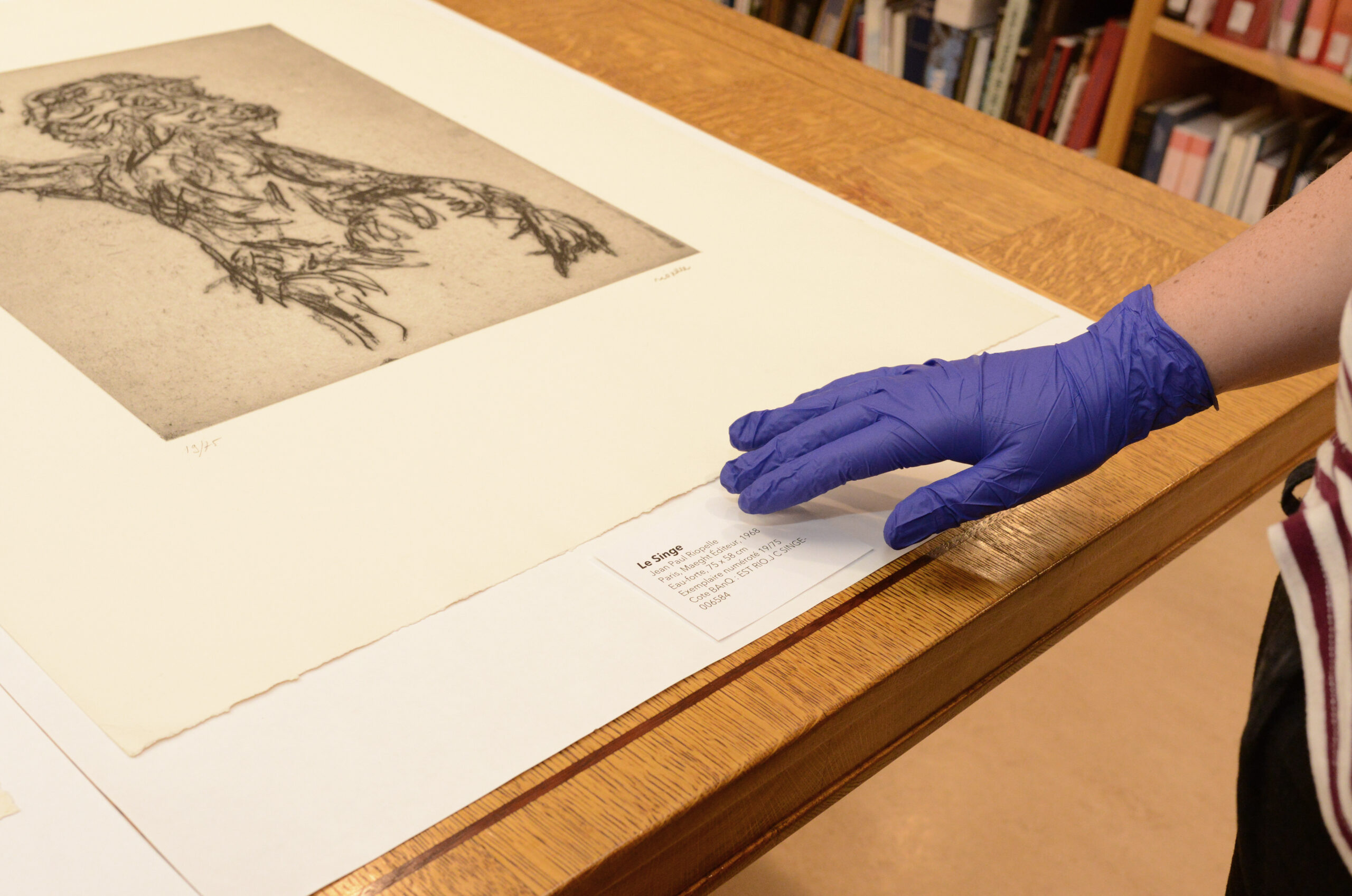 Photo credit Prune Paycha